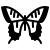 Schmetterlingspflanze