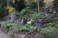 Böschung mit Regenwasserversickerung. Bepflanzt mit selbstproduzierten Stauden
