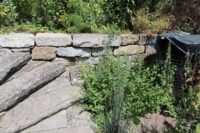 Natursteine als Lebensort und Gestaltungselement
